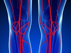 duplex-arterial.jpg